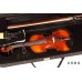 法蘭山德 SANDNER SA-160 Violin Case 輕便型 小提琴盒 三角琴盒 4/4  