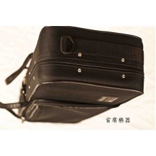 法蘭山德 SANDNER SA-160 Violin Case 輕便型 小提琴盒 三角琴盒 4/4  