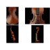 手工中提琴 12"-14" 音樂班指定用 進階 中提琴