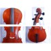 歐料 音樂班指定用琴 老木料 工藝級 手工製作 酒精漆 4/4 大提琴