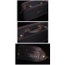 典雅新式 ANDER AD-905 Violin Case 小提琴木盒 四方琴盒 4/4
